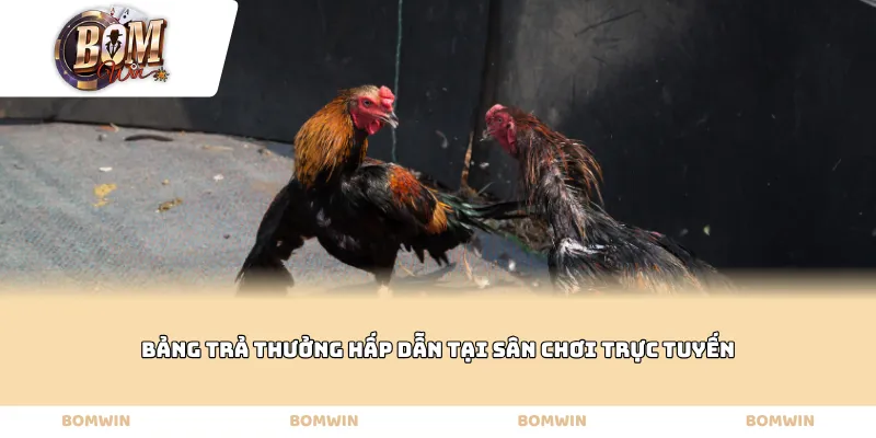 Bảng trả thưởng hấp dẫn tại sân chơi trực tuyến