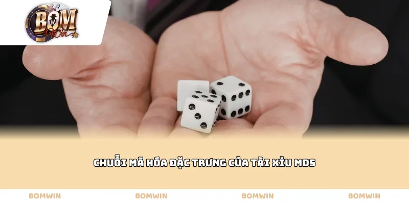 Chuỗi mã hóa đặc trưng của Tài xỉu MD5