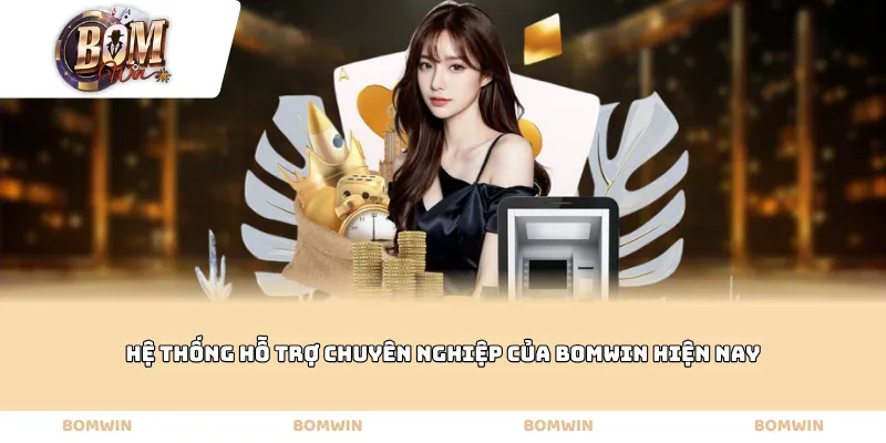 Hệ thống hỗ trợ chuyên nghiệp của BOMWIN hiện nay