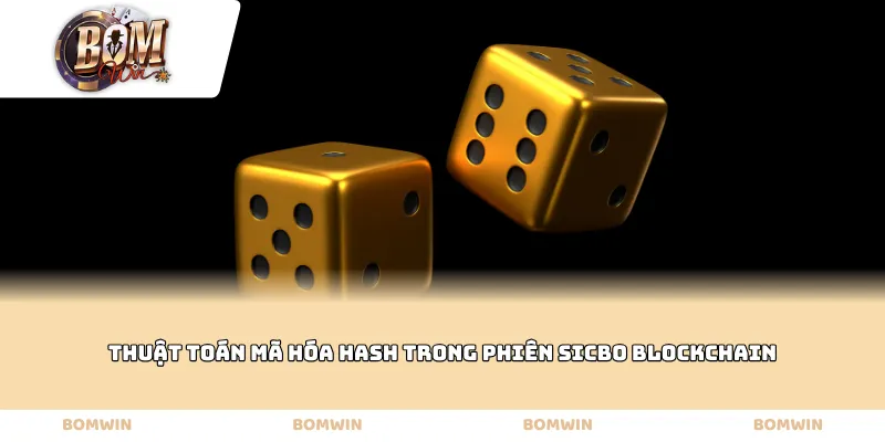 Thuật toán mã hóa hash trong phiên Sicbo Blockchain